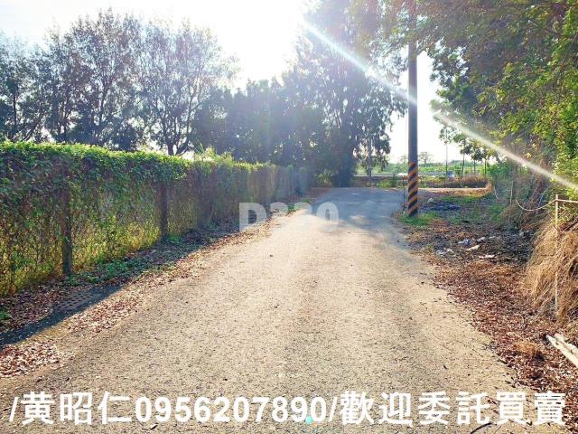 台南麻豆農地-2