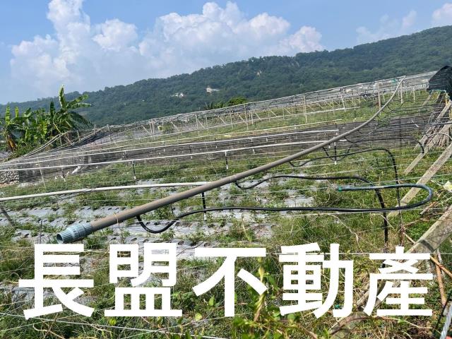 苗栗卓蘭農地-5