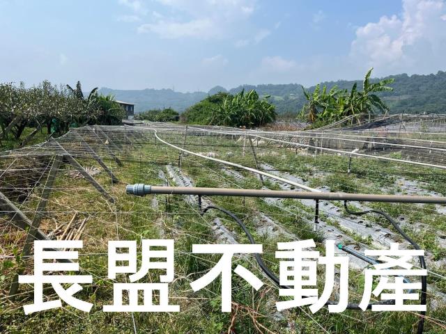苗栗卓蘭農地-6
