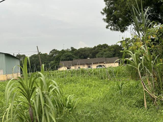 神岡農地-6