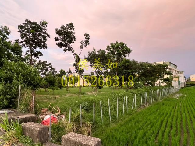 東區農地-1