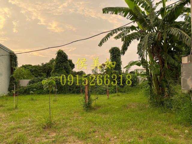 東區農地-8