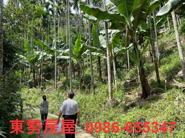 東勢農地-5