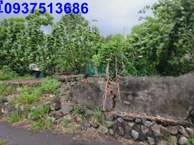 宜蘭壯圍農地-13