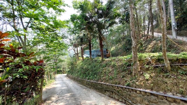 新竹北埔林地-1
