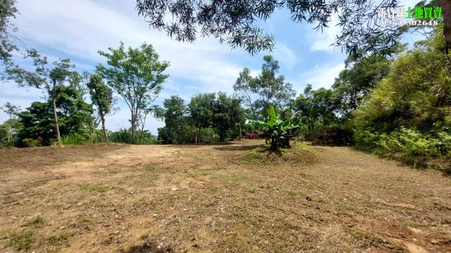 新竹北埔農地-9