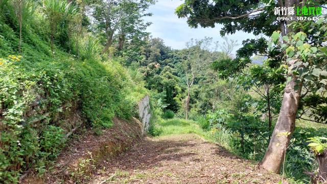 新竹北埔農地-12