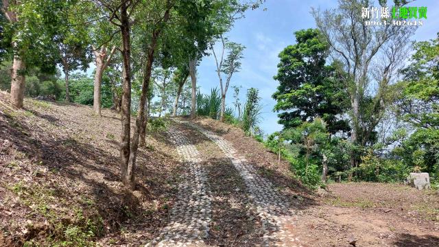 新竹北埔農地-13