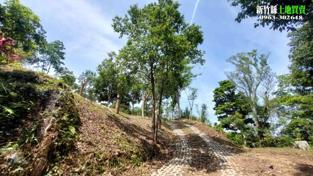 新竹北埔農地-14