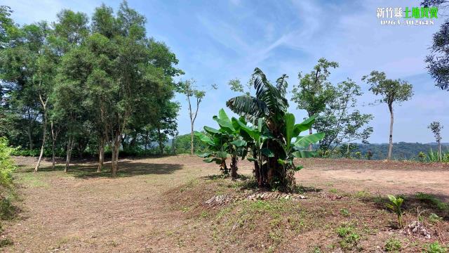 新竹北埔農地-4