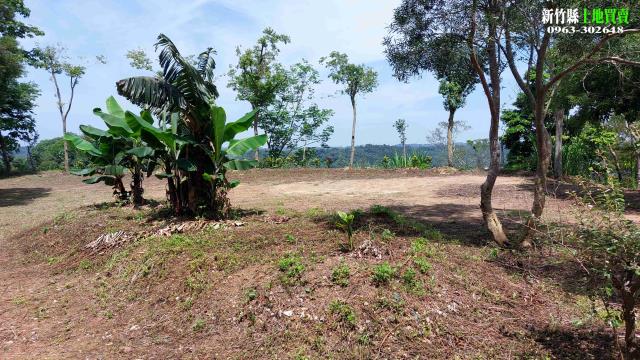 新竹北埔農地-5