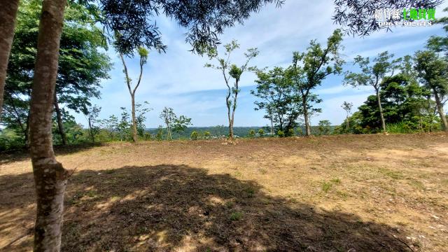 新竹北埔農地-8