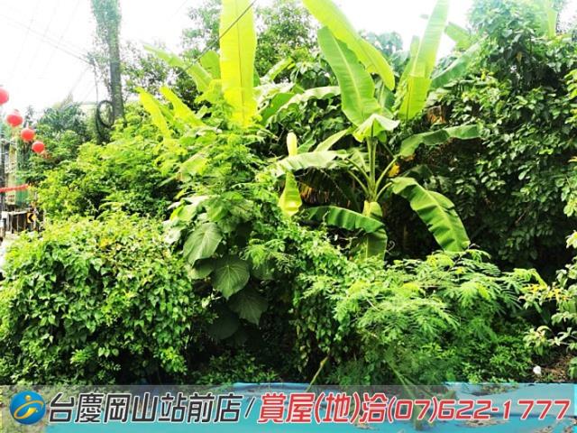 田寮農地-9