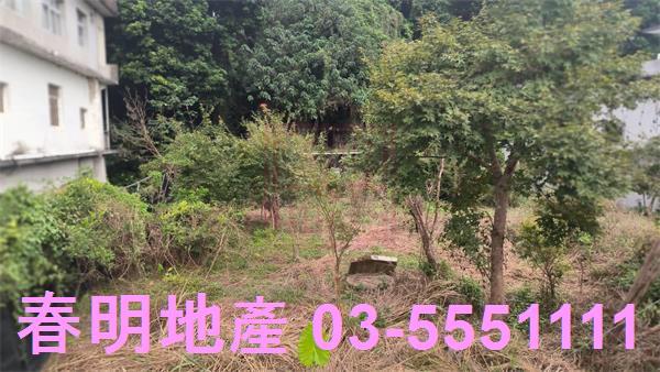 新竹關西建地-8