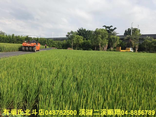 彰化溪州農地-0