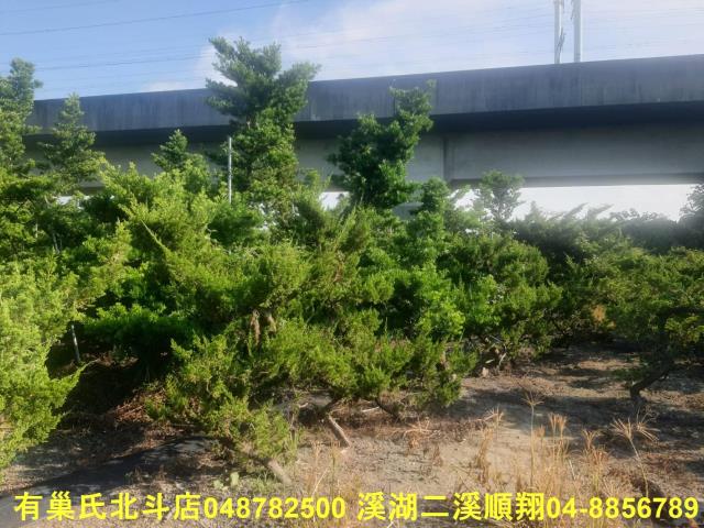 彰化溪州農地-2