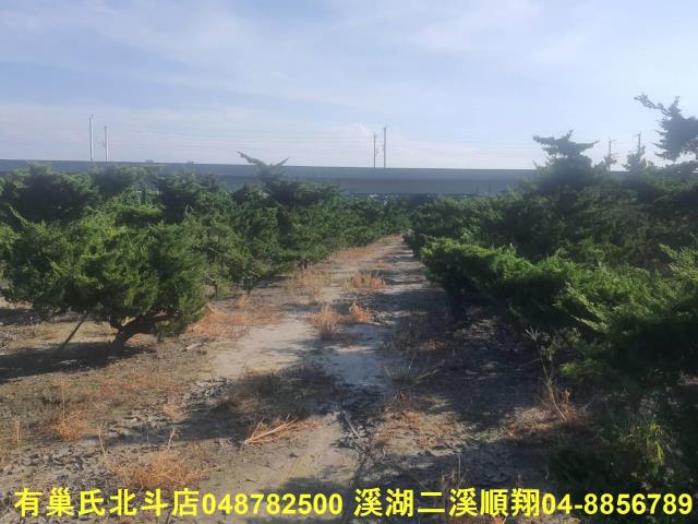彰化溪州農地-5