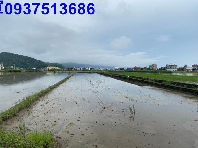 宜蘭農地-4