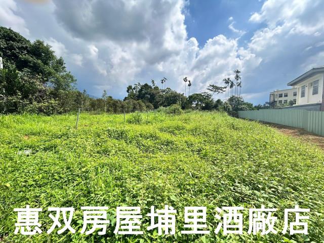 埔里農地-0