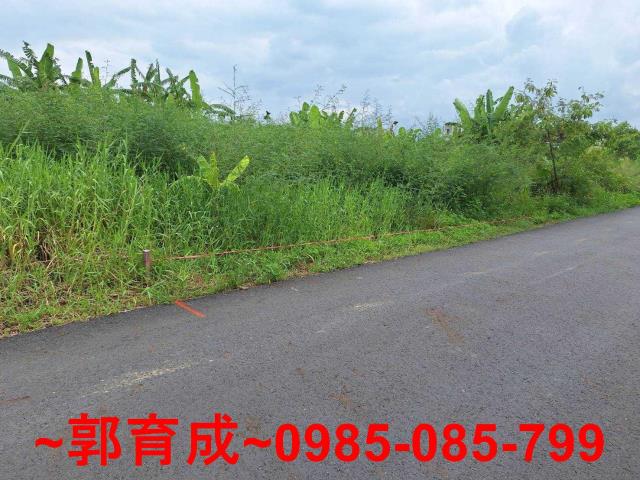 嘉義中埔農地-3