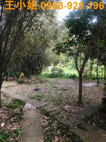 桃園大溪建地-4