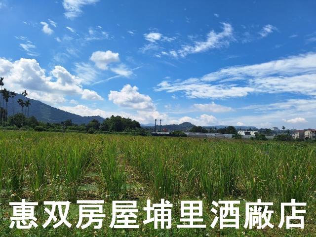 南投埔里農地-1