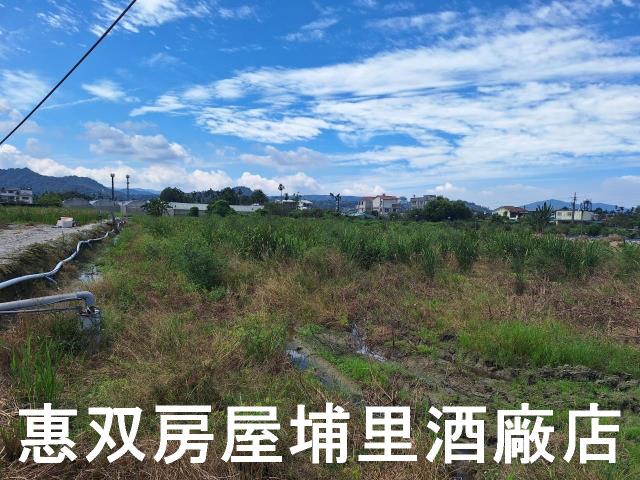 南投埔里農地-5