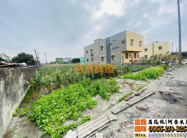 水林建地-2