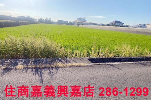 彰化大村農地-4