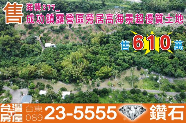 台東成功農地-0