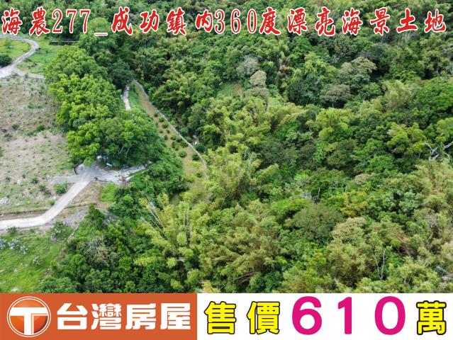 台東成功農地-0