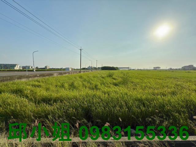 嘉義太保農地-0