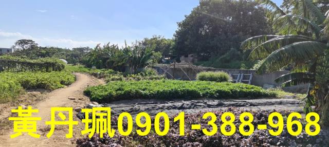桃園農地-2
