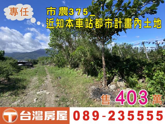 台東台東市農地-0