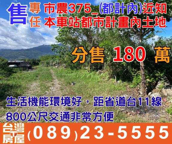 台東台東市農地-1