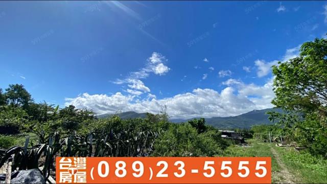 台東台東市農地-3