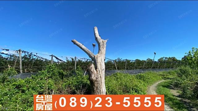 台東台東市農地-4