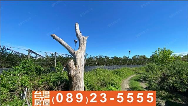 台東台東市農地-5