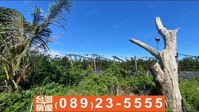 台東台東市農地-6