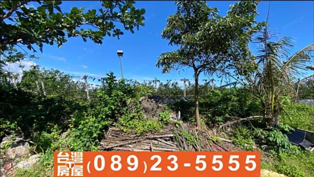台東台東市農地-7