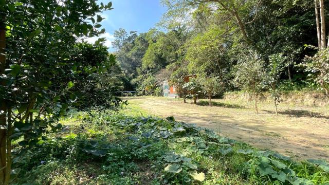 新竹峨眉農地-10