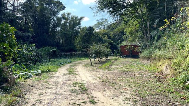 新竹峨眉農地-12