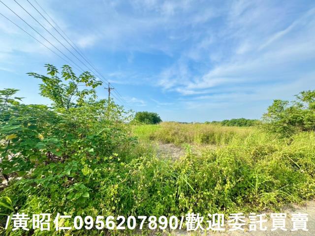 台南農地-1