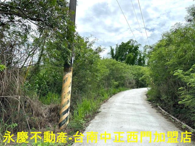 玉井農地-9