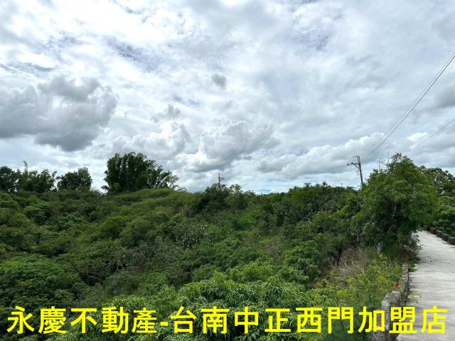 玉井農地-12