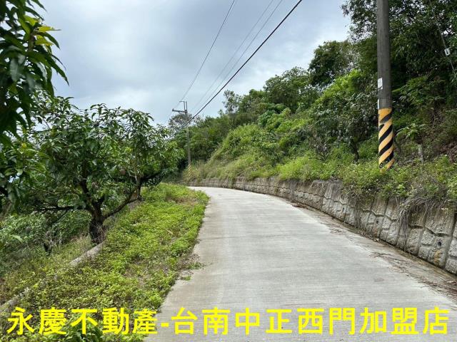 玉井農地-13