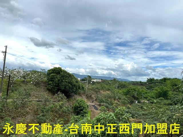 玉井農地-0
