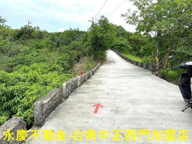 玉井農地-6