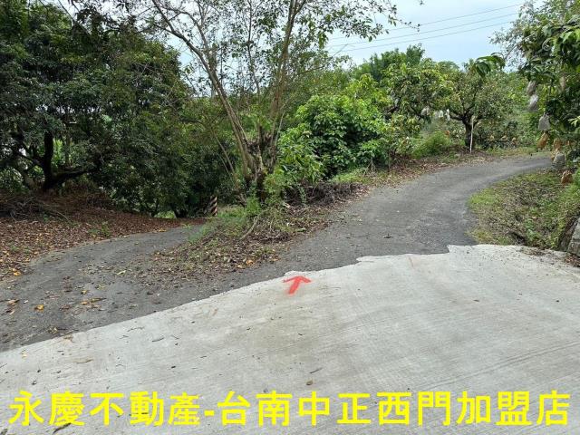 玉井農地-7
