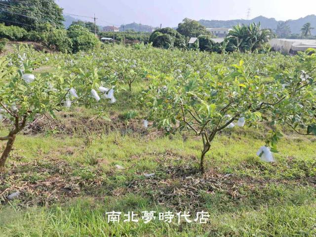 楠西農地-7